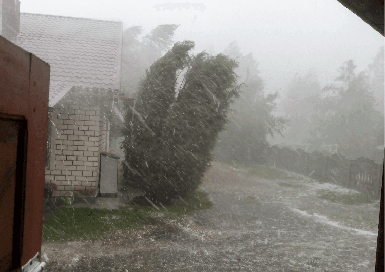 Imagem de destaque da notícia Frentes frias e ciclone extratropical trazem ventania, chuva forte e frio para o Sul e Sudeste