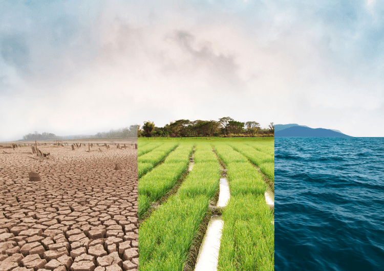 Imagem Risco climático já influencia investimentos, operações e lucros das empresas no Brasil